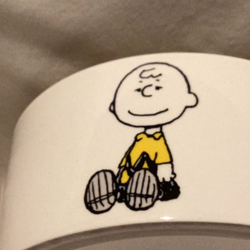 Peanuts Pet Bowl - Picture 2 of 9